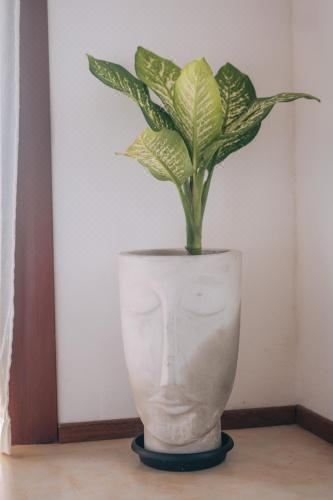 带私人外部浴室的三人房