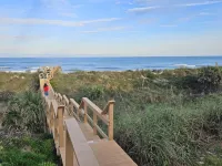 Direct Oceanfront & Private, Dog Friendly, 2Br House, July/August Availability.
