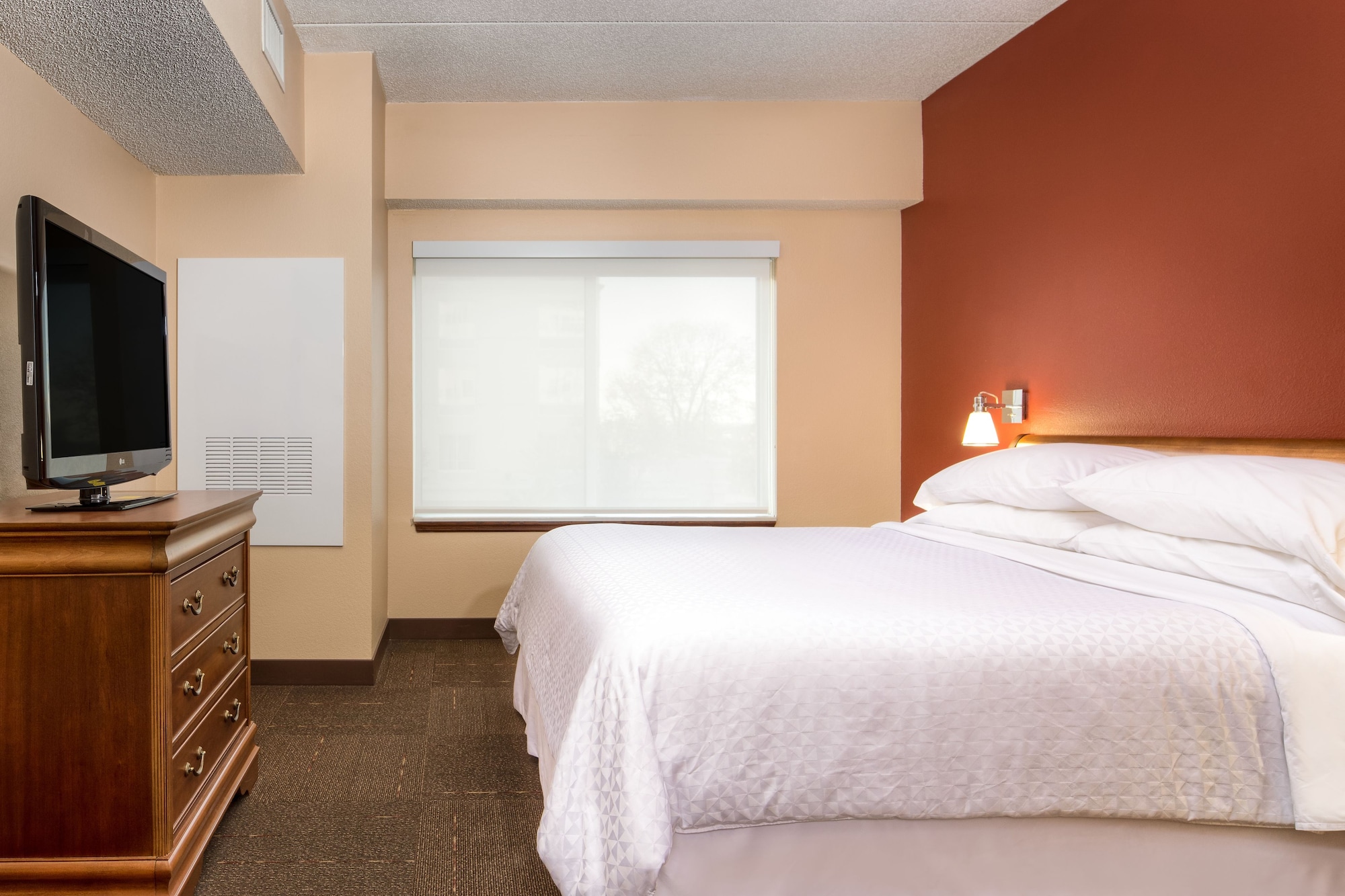 1卧室2室套房带1张特大床和梳化床