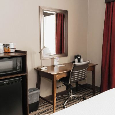 Standard Single Room, 1 King Bed, Pets Allowed Colonial Hotel Promo Code
