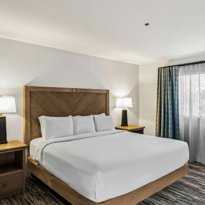 Standard Room Starr Pass Golf Suites Promo Code