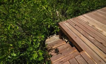 Maya Cabanas & Cenote Tulum