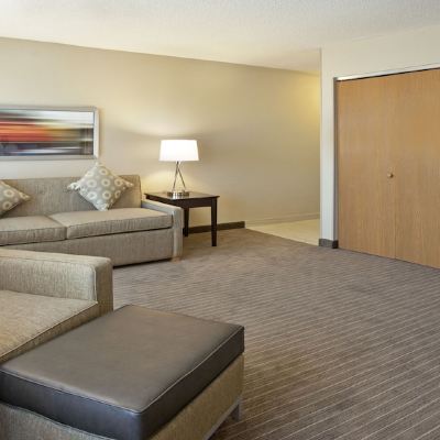 King Suite with Sofa Bed-Communications Accessible Holiday Inn Express & Suites Eden Prairie - Minnetonka Promo Code