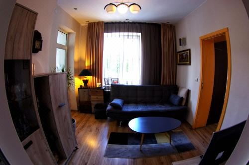 带露台一室公寓