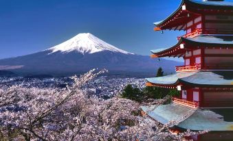 a beautiful view of mount fuji , japan , with a traditional japanese building and cherry blossom trees in the foreground at HOTEL MYSTAYS Fuji Onsen Resort