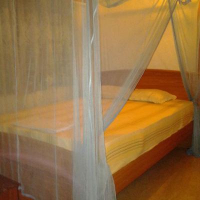 Deluxe Double or Twin Room with Garden View