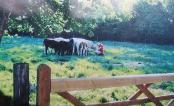 Corner Farm - Housity