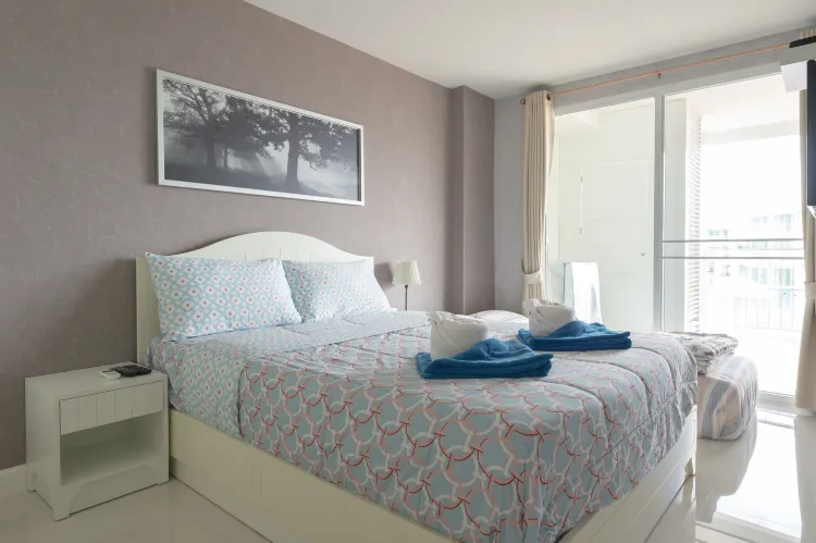 Condo, Entire House or Apartment