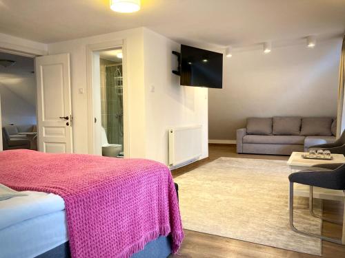 带阳台的小型套房