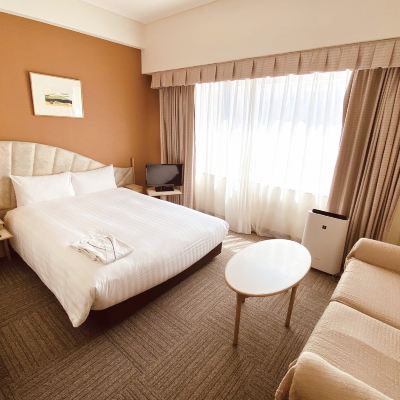 スタンダードダブルルームB　喫煙 スマイルホテル東京西葛西（旧　ホテルサンパティオ） クーポン