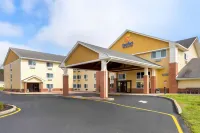 Comfort Inn & Suites Hotels in 