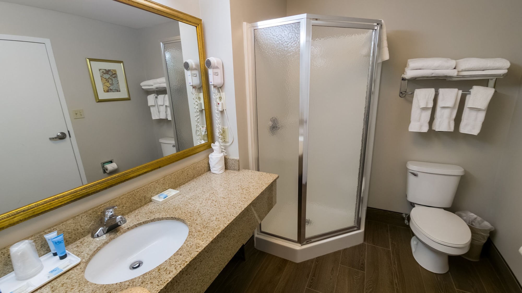 大型房间，2张双人床，山景