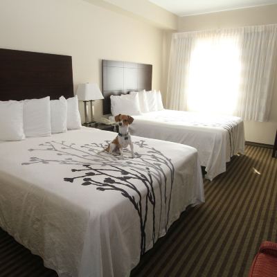 Room, 2 Queen Beds, Non Smoking, Refrigerator & Microwave (Pet Friendly) Bowman Inn & Suites Promo Code