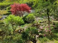 Dorogawa Onsen Ichimaru Ryokan Отели в г. 