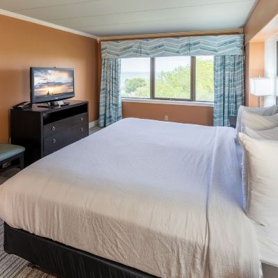 Standard Suite, 1 King Bed with Sofa Bed, Park View The Boulevard Inn & Bistro Promo Code