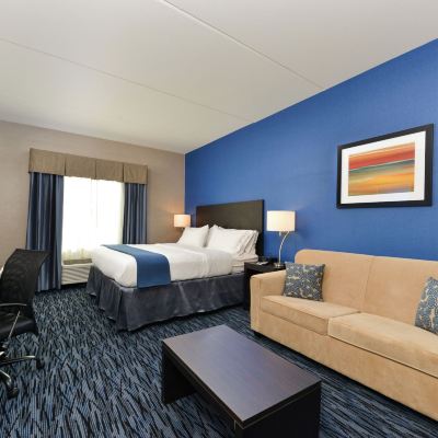 Suite With 1 King Bed-Communications Accessible Holiday Inn Express & Suites Peekskill-Lower Hudson Valley, an IHG Hotel Promo Code