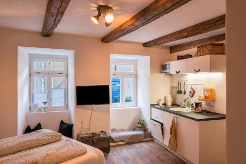 高级一卧室公寓