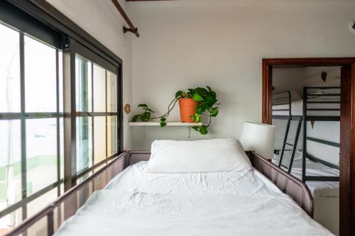 女生宿舍房中的单人床