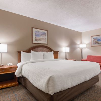 Standard Single Room LeBossier Hotel Promo Code
