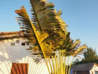 Hotel Ecolodge Riake Resort & Villa Hotels in 