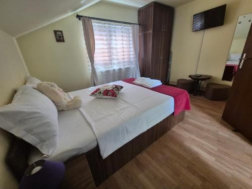 带园景一室公寓