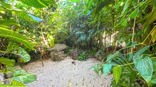 Cabañas Alma Verde