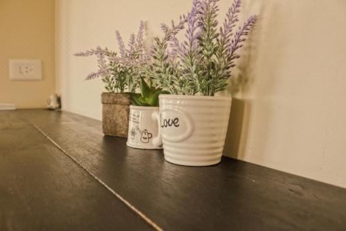 双人或双床房享有园景