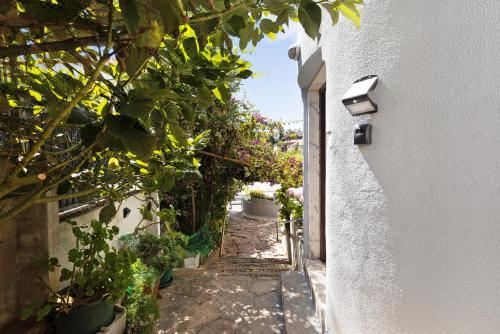 高级两卧室公寓