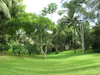 Crystal Paradise Resort Hotels in 