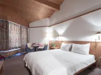 T3 Alpenhotel Flims Hotels in Flims