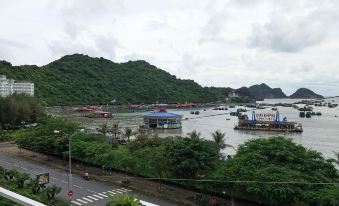 Cat Ba Green Bamboo Forest