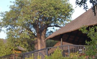 Adansonia Eco Lodge