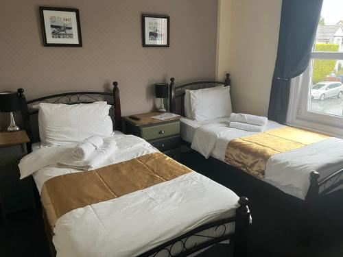 The Harp Freehouse and Guesthouse Twin Room