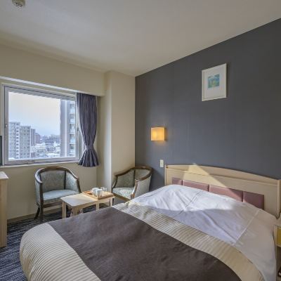 ダブルルーム(禁煙) 琴似グリーンホテル クーポン