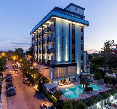 Hotel Feldberg Hotels in 