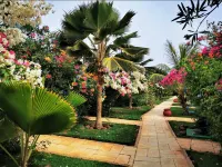 Royal Horizon Baobab Hotels in 