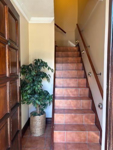 特大床房（带阳台）