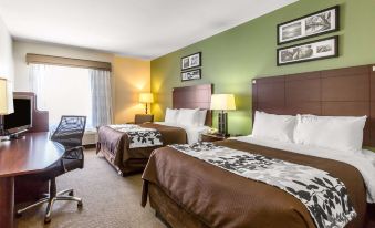 Sleep Inn & Suites Bush InterContinental - IAH East