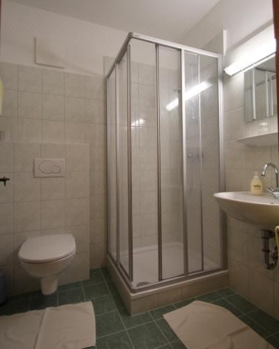 Pension Hubertushof Beim Römerbad Single Room