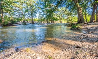 River Bluff Cabins - Housity