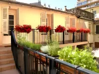 Hotel des Dames