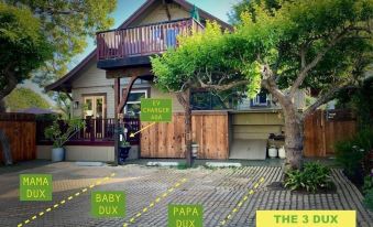 The 3 Dux - Housity