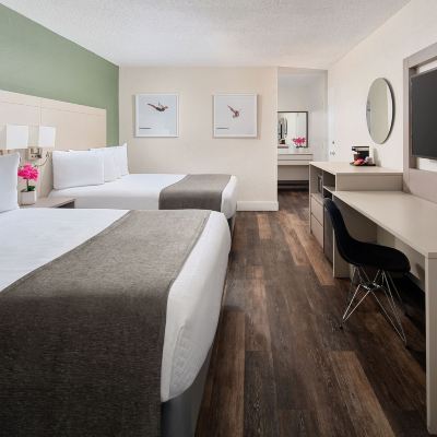 Mobility Accessible Room with 2 Queen Beds, Bathtub with Grab Bars - Non-Smoking Avanti Palms Resort and Conference Center Promo Code
