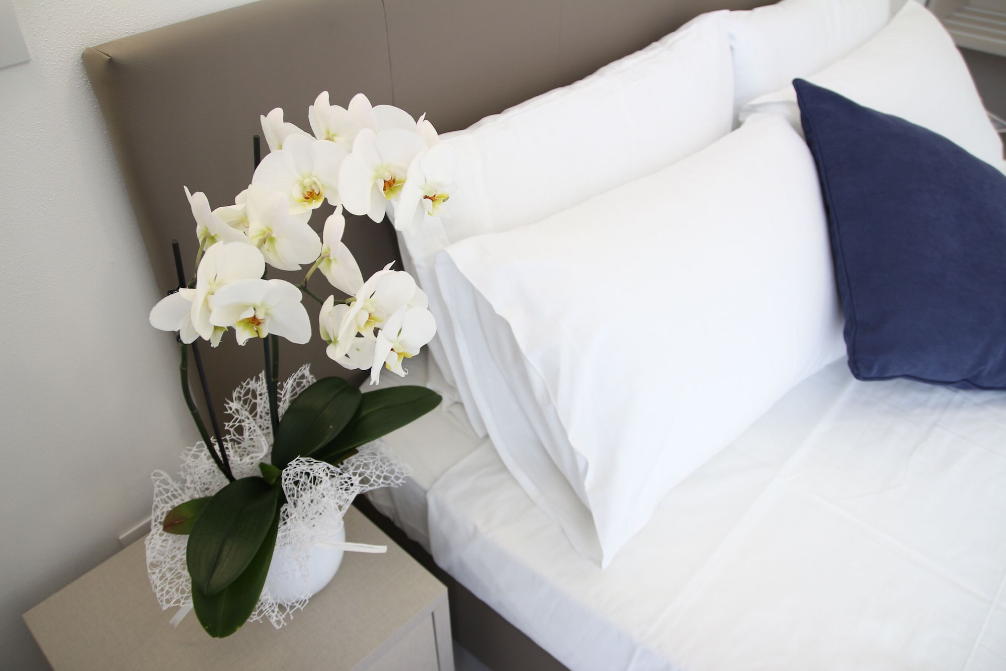 舒适双人或双床间