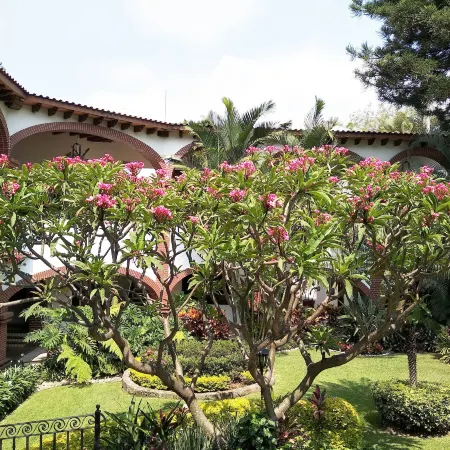 Hotel Vista Hermosa Отели в г. Куэрнавака