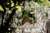 Hotel Terme Zi Carmela Hotels in 