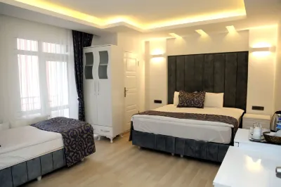 Aksaray Liva Hotel  otelleri
