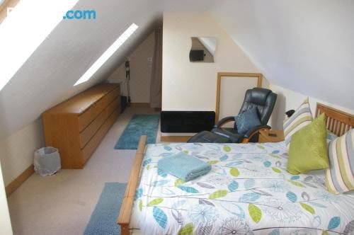 单卧室一室公寓套房