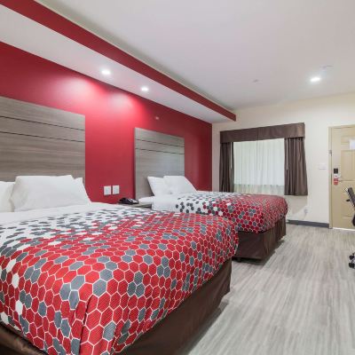 Double Room Econo Lodge Inn & Suites Humble FM1960 - IAH Airport Promo Code