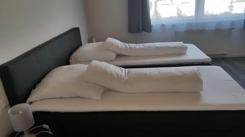 豪华双人或双床房